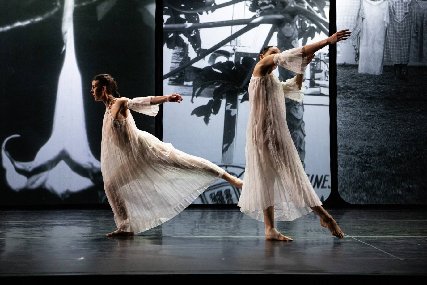 IMPRESSIONS: Trisha Brown Dance Company at The Joyce Theater | The